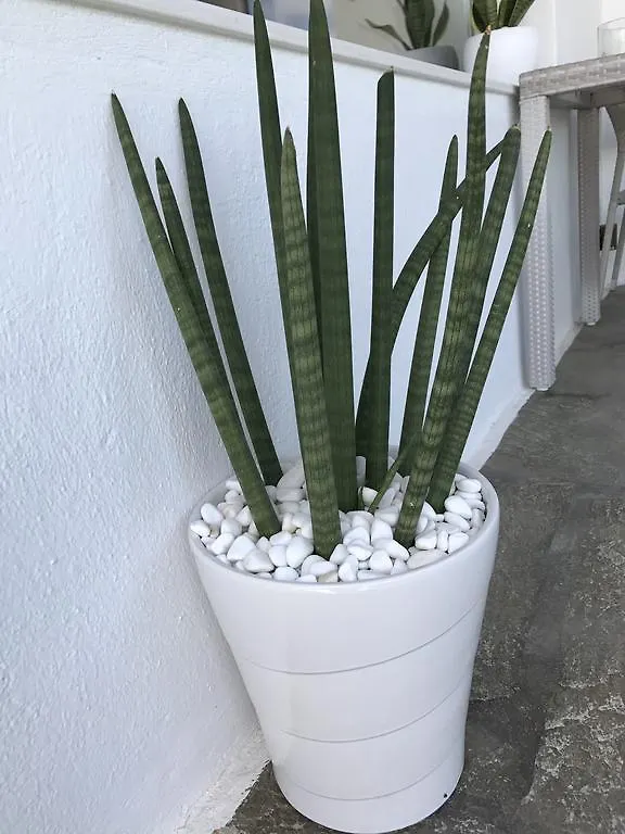 Yanna Asteri Suites Ornos  0*, Ornos (Mykonos) Řecko